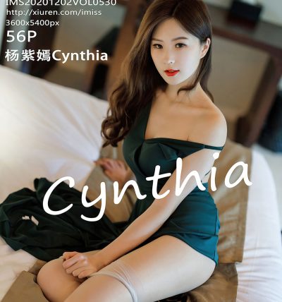 [IMISS爱蜜社] 2020.12.02 VOL.530 杨紫嫣CYNTHIA