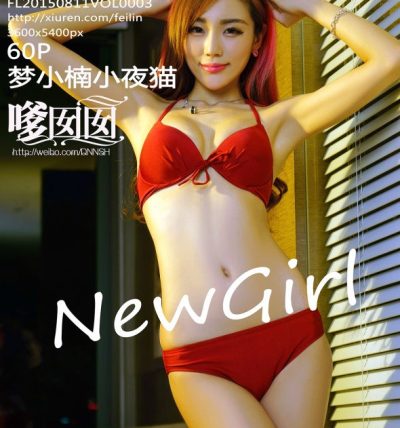 [FEILIN嗲囡囡] 2015.08.11 VOL.003 梦小楠小夜猫