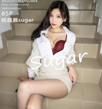 [XIUREN秀人网] 2020.12.07 No.2864 杨晨晨sugar